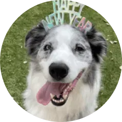 Fiona